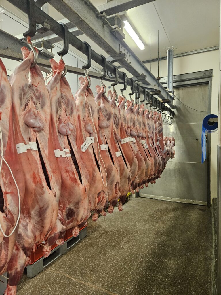 Vlees uit een slachthuis dat halal slachten toepast, hangend in de koeling